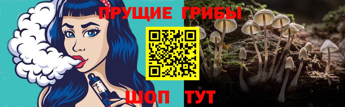 Лениногорск  Псилоцибиновые грибы Cubensis  Вход с VPN  Галлюциногенные грибы Magic Shrooms 